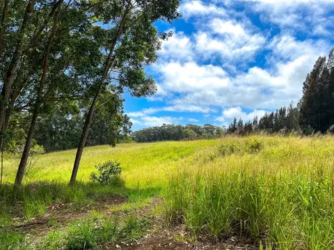 Hoo Kahua Rd, Honokaa, HI 96727
