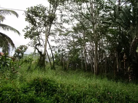 Lido Rd, Pahoa, HI 96778