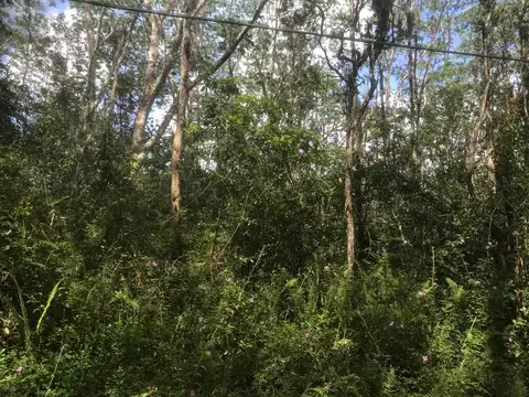 Paradise Circle, Pahoa, HI 96778