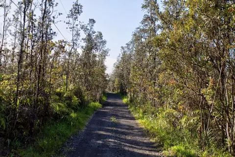 Road 3, Kurtistown, HI 96760