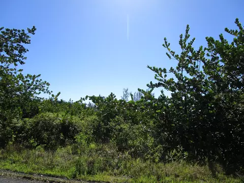 Lemiwai Rd, Keaau, HI 96749