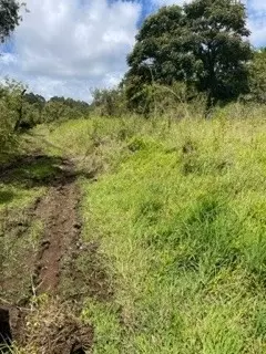 Undisclosed, Hilo, HI 96720