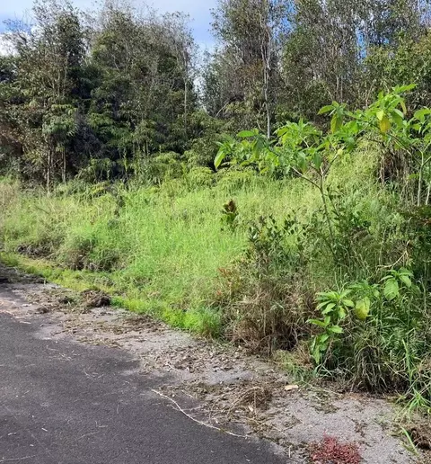 Hilohilo St, Volcano, HI 96785