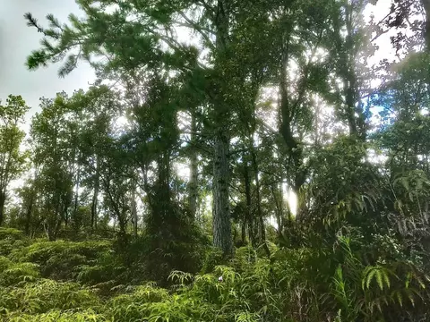 Ala Naulani, Volcano, HI 96785