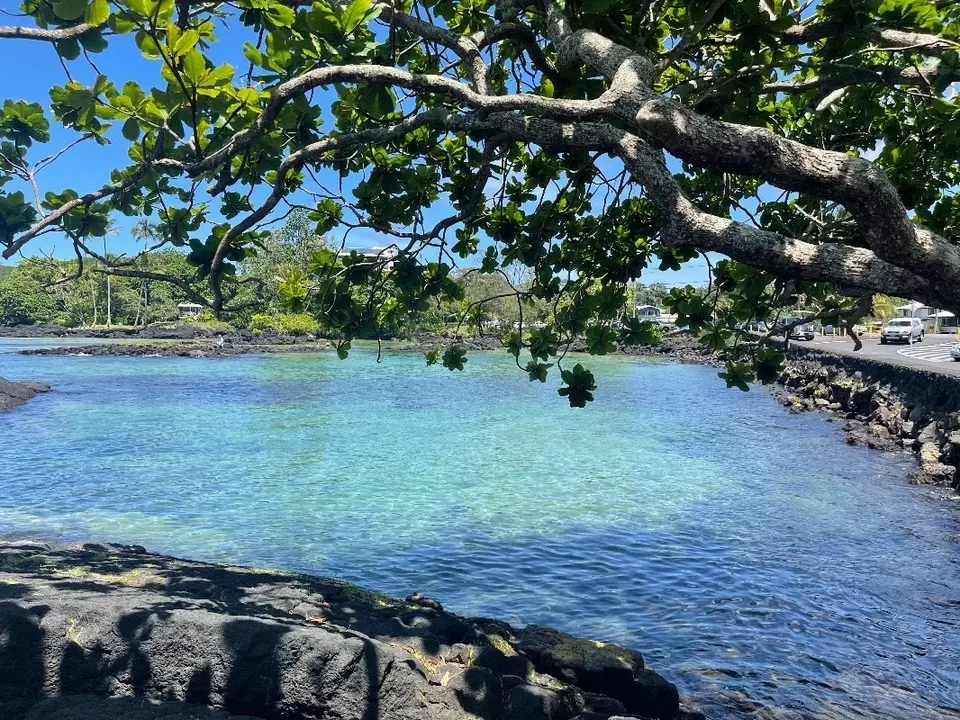 View/Area - 126 W Kinai Pl, Hilo, HI 96720 photo 5 of 5