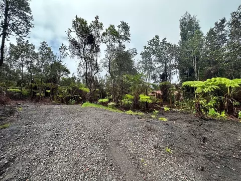 Nahelenani St, Volcano, HI 96785