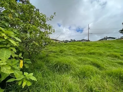 64-231 Puu Pulehu Loop, Kamuela, HI 96743