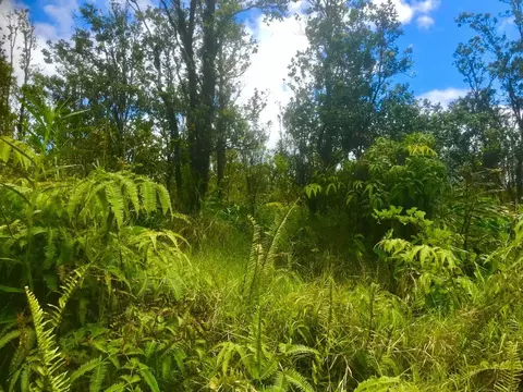 Ohialani Rd, Volcano, HI 96785