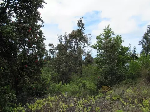 Sea Breeze Pkwy, Ocean View, HI 96737