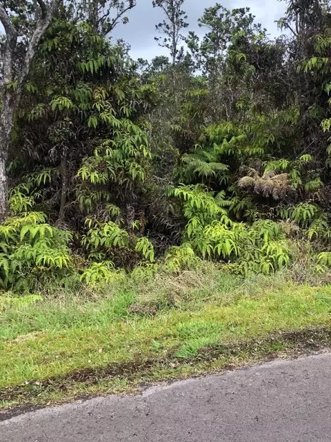Pa Alii St, Volcano, HI 96785