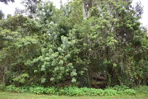 Tiki Ln, Ocean View, HI 96737