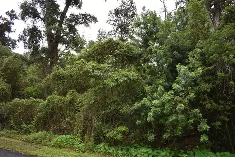 Tiki Ln, Ocean View, HI 96737