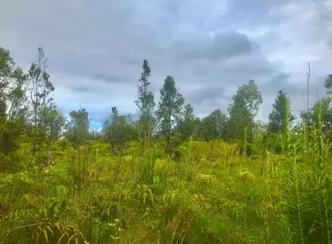 Omeka Rd, Volcano, HI 96785