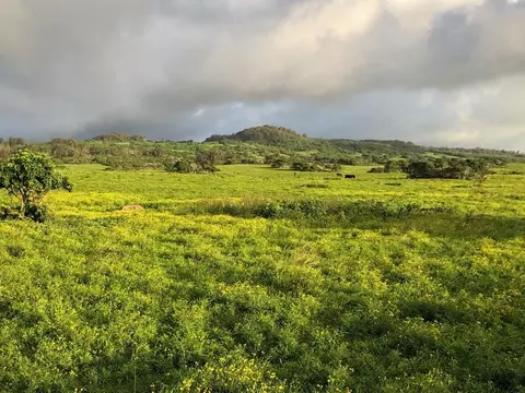 56-2839 Honoipu Puuhue Rd, Hawi, HI 96719