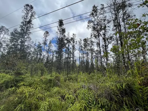 Road 6, Mountain View, HI 96760