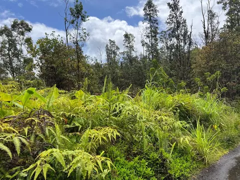 Road 4, Mountain View, HI 96760