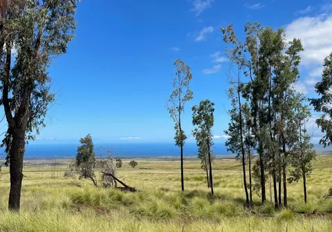 Mamaloha Highway, Kamuela, HI 96743