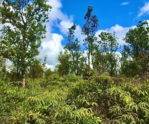 Omeka Rd, Volcano, HI 96785 photo 2