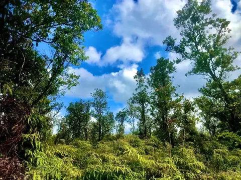 Omeka Rd, Volcano, HI 96785 photo 3