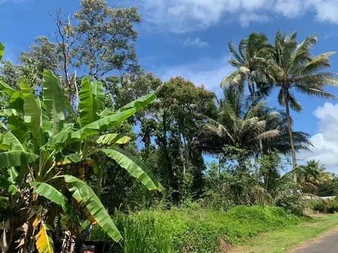 15-2687 N Iao St, Pahoa, HI 96778