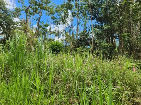 Holiday Rd, Pahoa, HI 96778