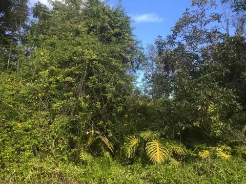 N Mahimahi St, Pahoa, HI 96778