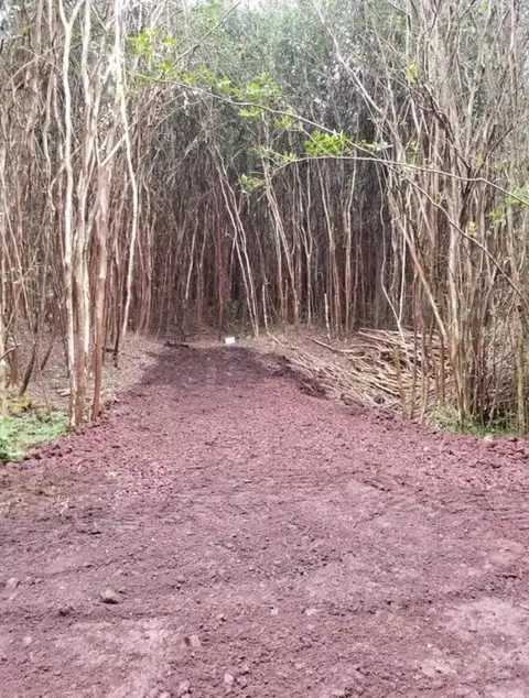 Lanai St, Pahoa, HI 96778