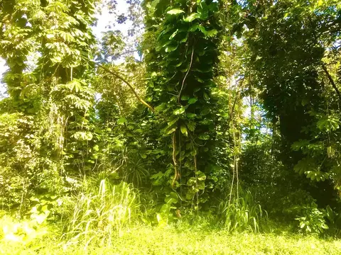 Puni Makai Loop, Pahoa, HI 96778
