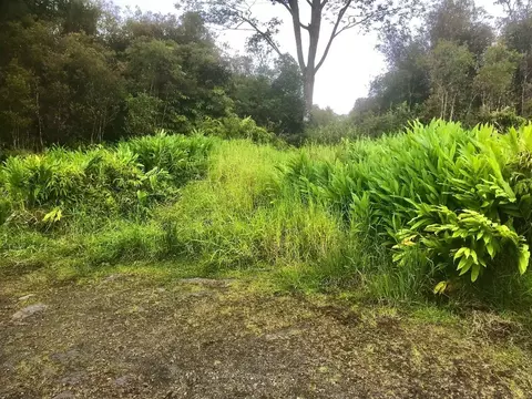 Road 13, Volcano, HI 96785