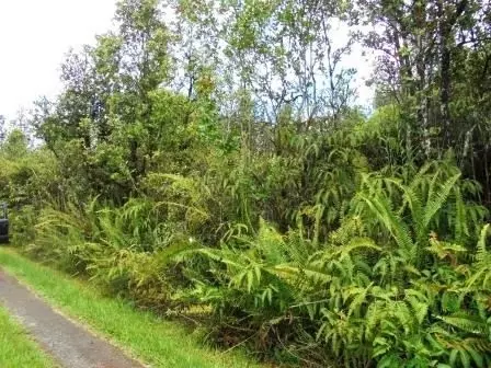 Road 6, Mountain View, HI 96760