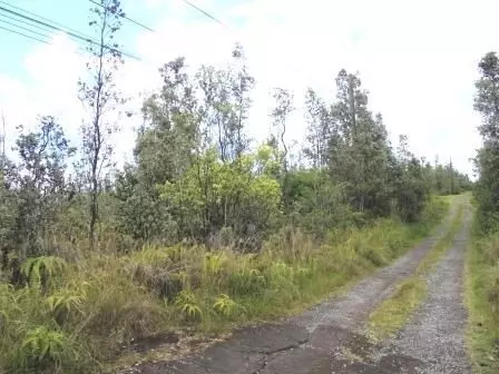 Road 6, Mountain View, HI 96760