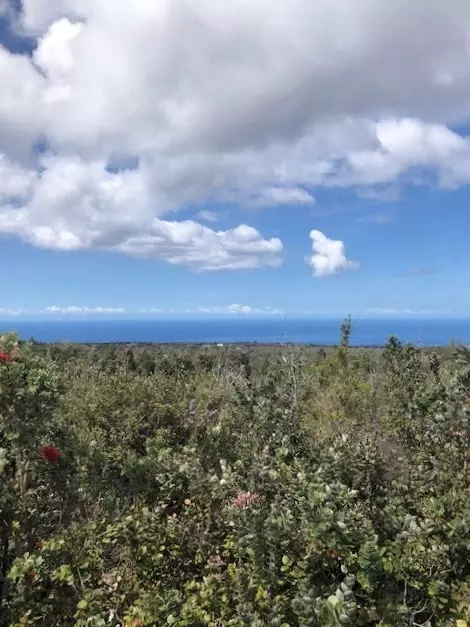 92-9031 Tree Fern Ln, Ocean View, HI 96737