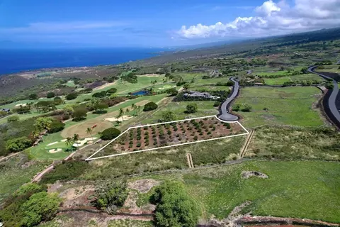 81-6561 Hiaaiono Pl, Kealakekua, HI 96750