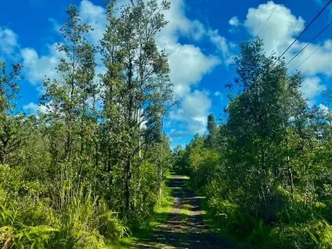 Road 6, Mountain View, HI 96760