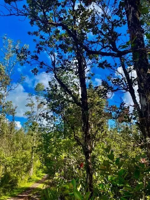 Road 6, Mountain View, HI 96760