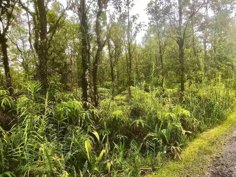 Painui St, Mountain View, HI 96771