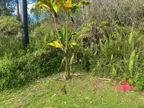 Stardust Dr, Pahoa, HI 96778