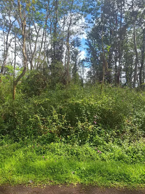 Lehua Rd, Pahoa, HI 96778
