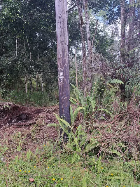 Pahoa Circle Circle, Pahoa, HI 96778