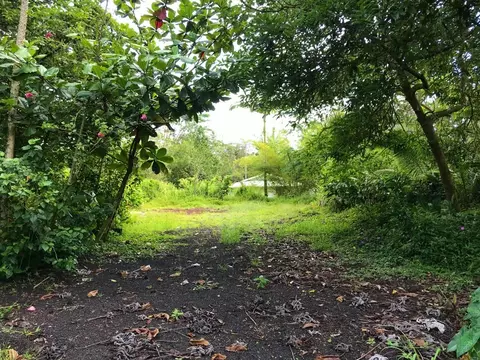 14-3405 Maui Rd, Pahoa, HI 96778