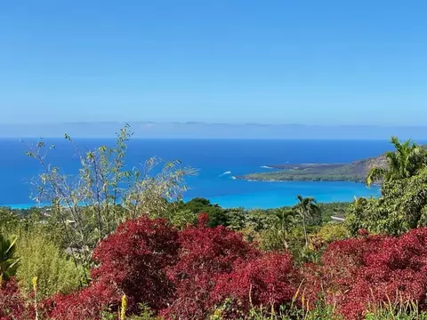 83-1036 Kahauloa Pl, Captain Cook, HI 96704