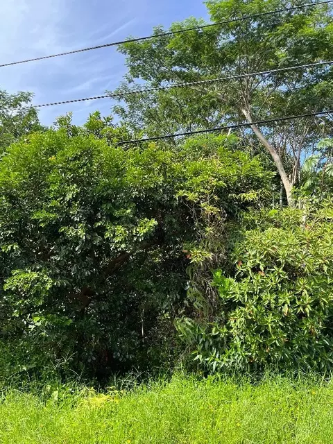 15-1623 Beach Rd, Keaau, HI 96749