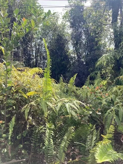 Road 7, Mountain View, HI 96760