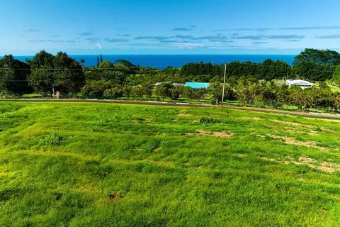 Chin Chuck Rd, Hakalau, HI 96710