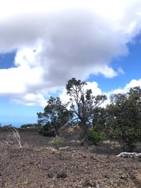 92-1115 Alii Blvd, Ocean View, HI 96737