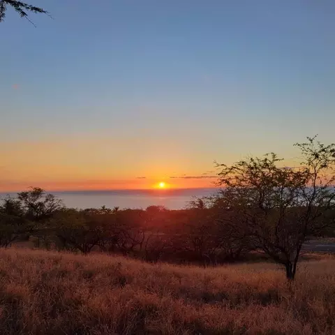 59-424 Palila Pl, Kamuela, HI 96743