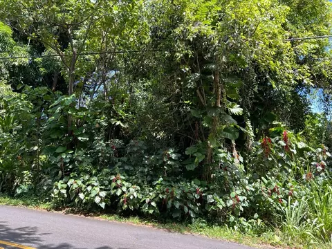 Kalapana-kapoho Beach Rd, Pahoa, HI 96778