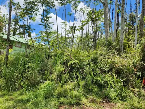 Molokai Rd, Pahoa, HI 96778