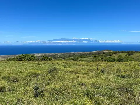 56-3149 Puu Mamo Dr, Hawi, HI 96719