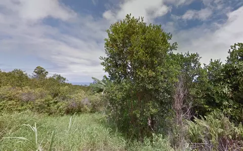 Undisclosed, Papaaloa, HI 96780